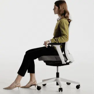 air-flex1.gif